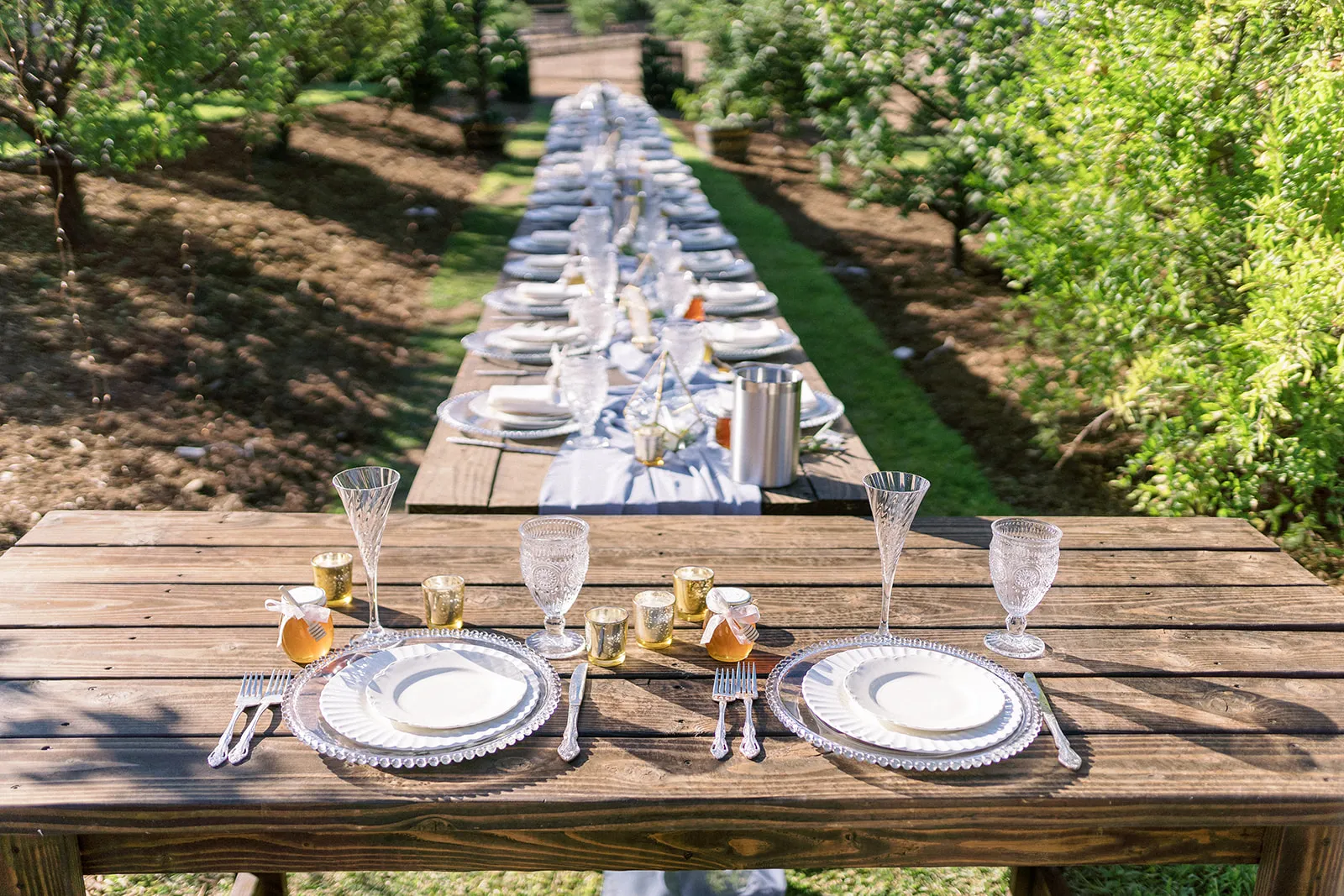 Long reception table in a Temecula vineyard